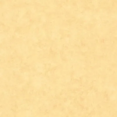 Обои для стен Caselio Beton 2 101482200