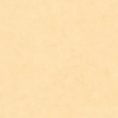 Обои для стен Caselio Beton 2 101483100