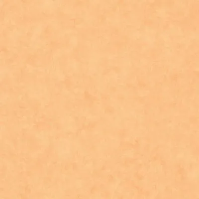 Обои для стен Caselio Beton 2 101483250