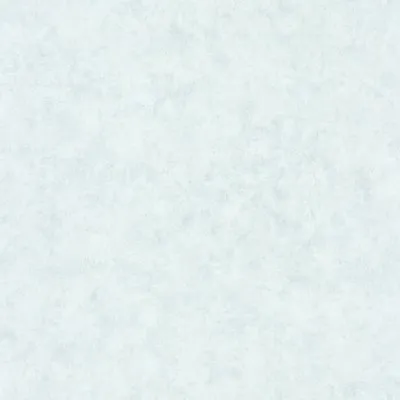 Обои для стен Caselio Beton 2 101486012 #1