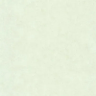 Обои для стен Caselio Beton 2 101487042