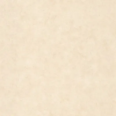 Обои для стен Caselio Beton 2 101491460 #1