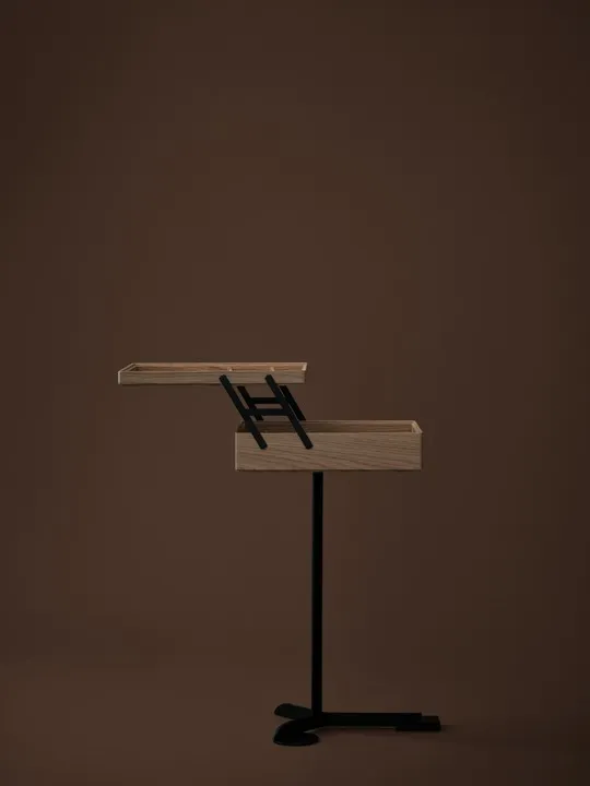 Comodo_Storage_Natural_Oak #2