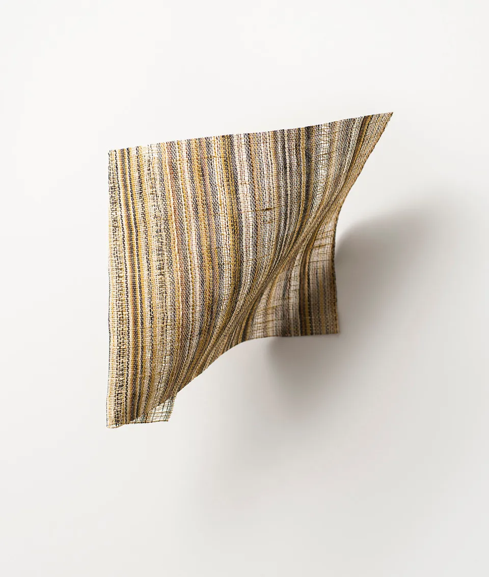 Ткань Dedar Arc-en-ciel 00T2505500001 #3