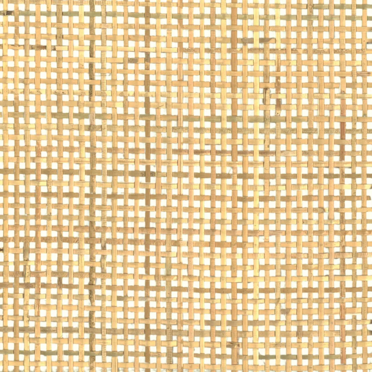 Ткань CMO Paris Tresses de Palmier cmo-fro-04-15