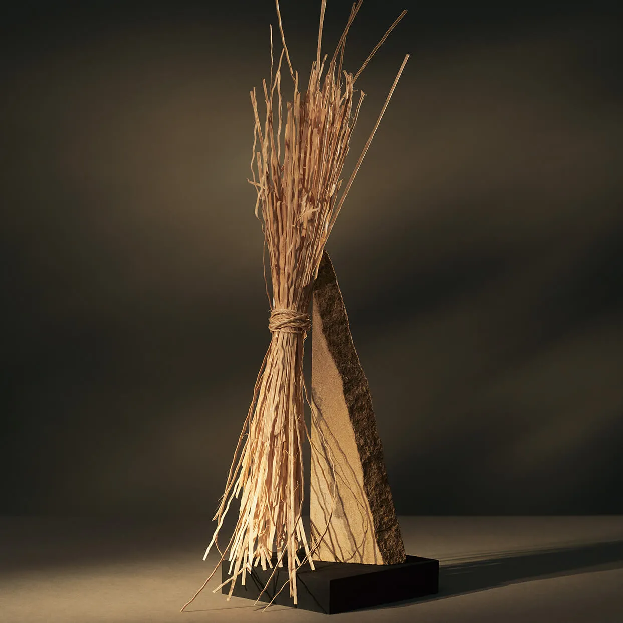 Ткань CMO Paris Tresses de Palmier cmo-fro-05-15 #5