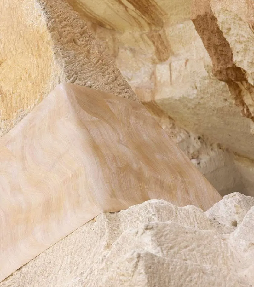 Обои для стен Elitis Lanzarote vp-1028-81 #5