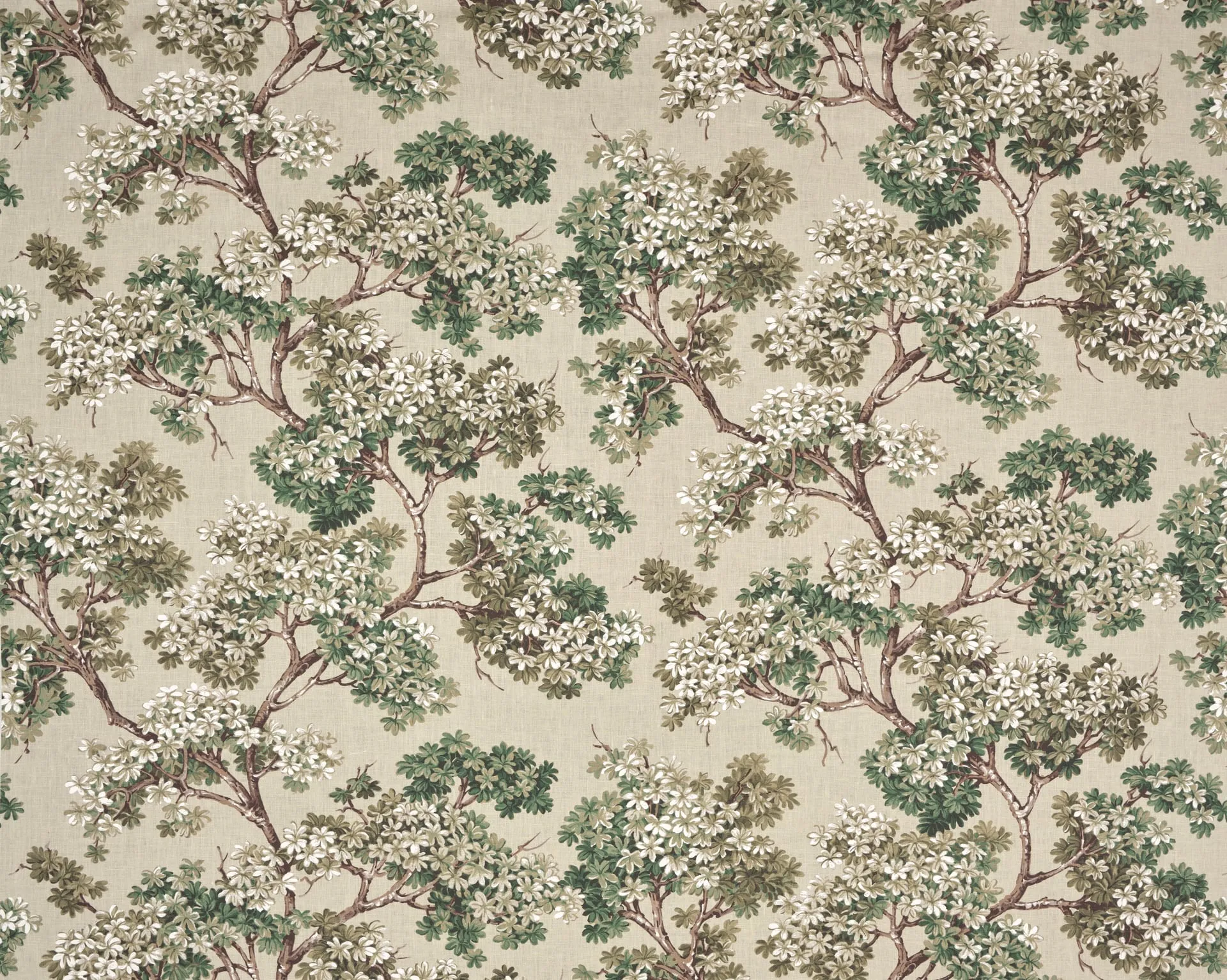 Ткань Pierre Frey Jardin A La Francaise F4111001 #2