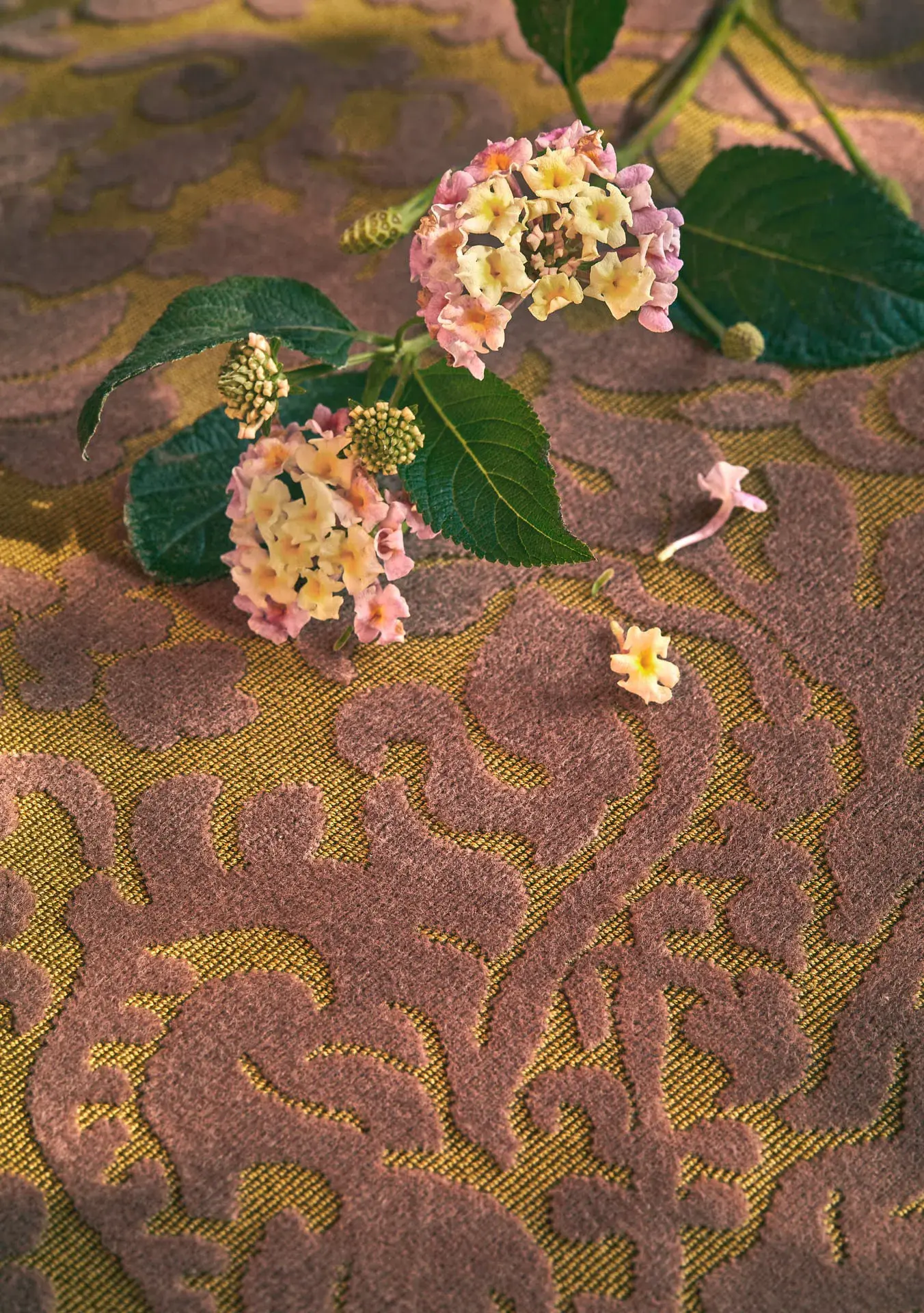 Ткань Fadini Borghi Via Antica I6656001 #3