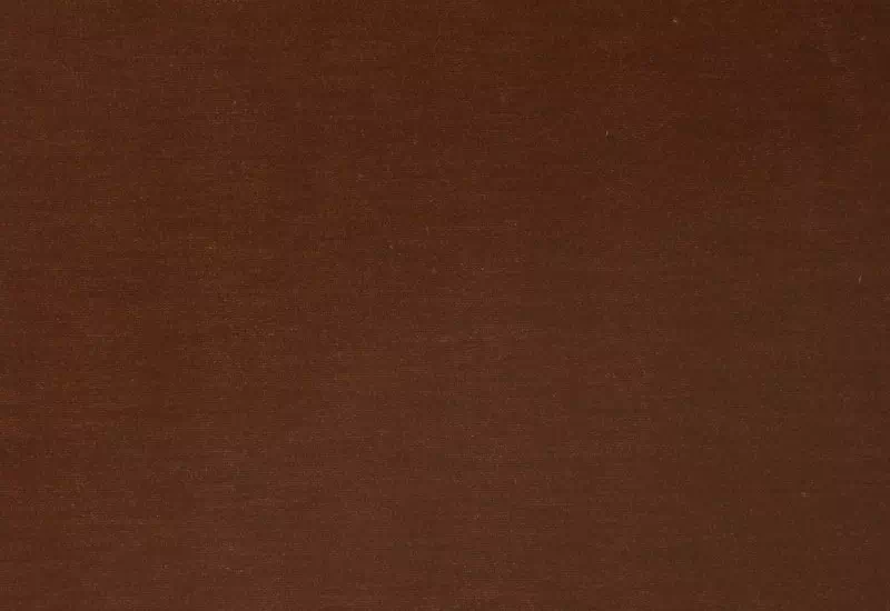 Ткань Mariaflora Boujee Velvet TEBOUJE00062