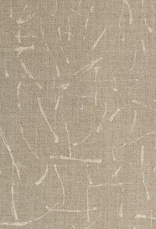 Ткань Dedar Mappamundi 00T2602900001